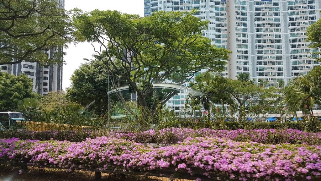 Singapur… la ciudad libre de chicle, tabaco… y otras reglas muy específicas…
