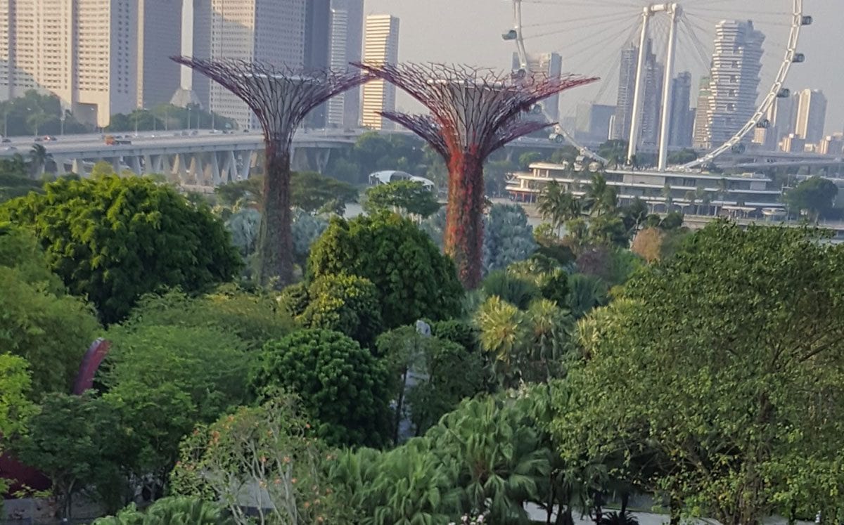 Singapur… la ciudad más limpia y verde del mundo