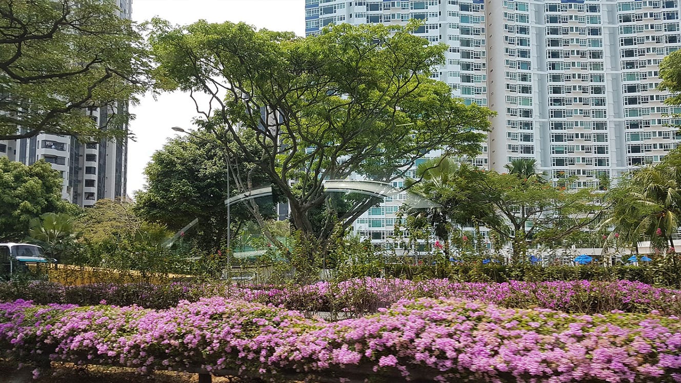 Singapur… la ciudad libre de chicle, tabaco… y otras reglas muy específicas…