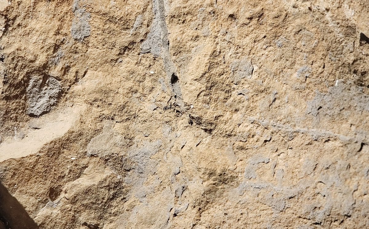 Pinturas y petrograbados rupestres… Malinalco Prehistórico