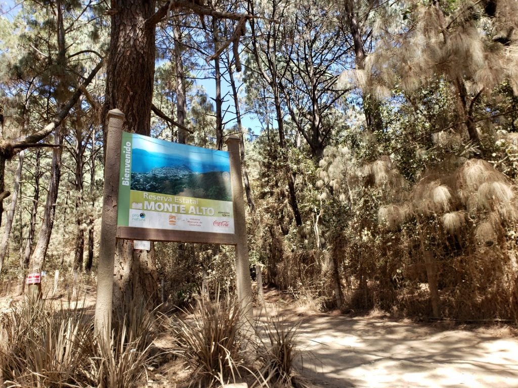 Parque Estatal Monte Alto… Reserva Ecológica 