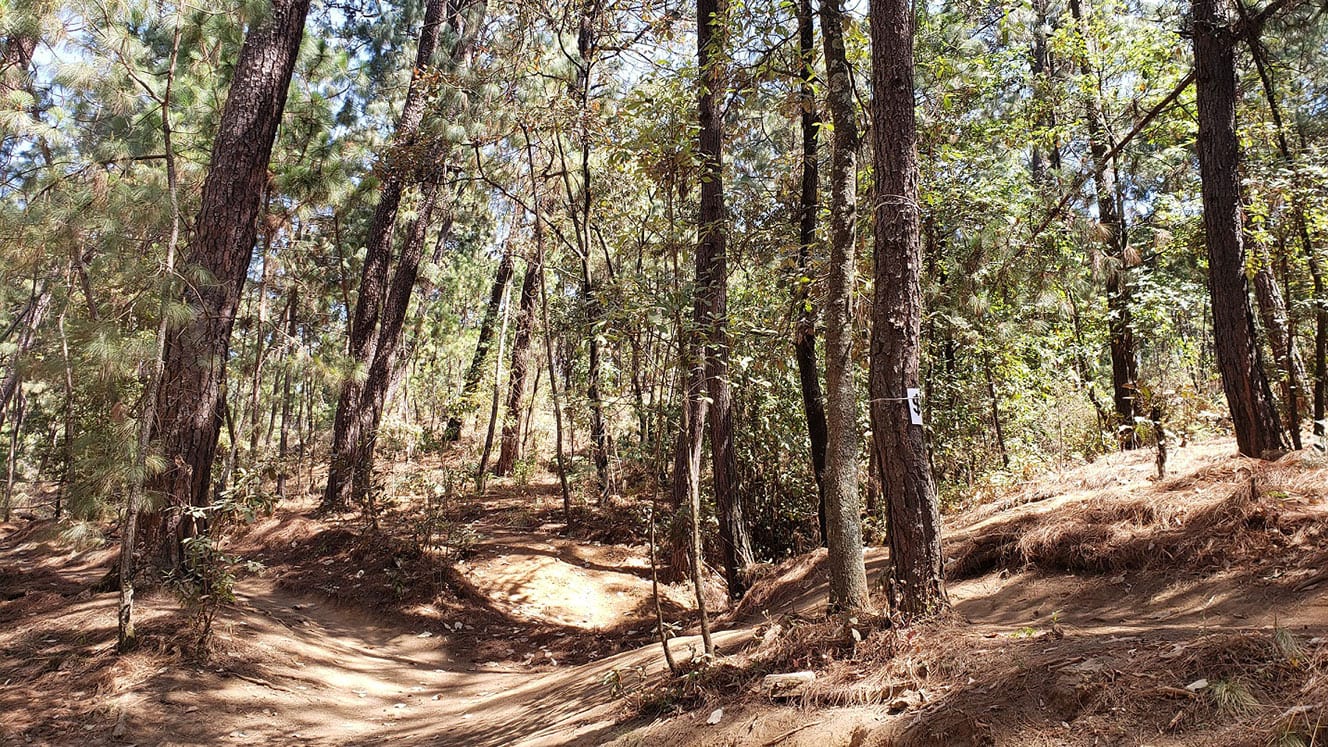 Parque Estatal Monte Alto… Reserva Ecológica