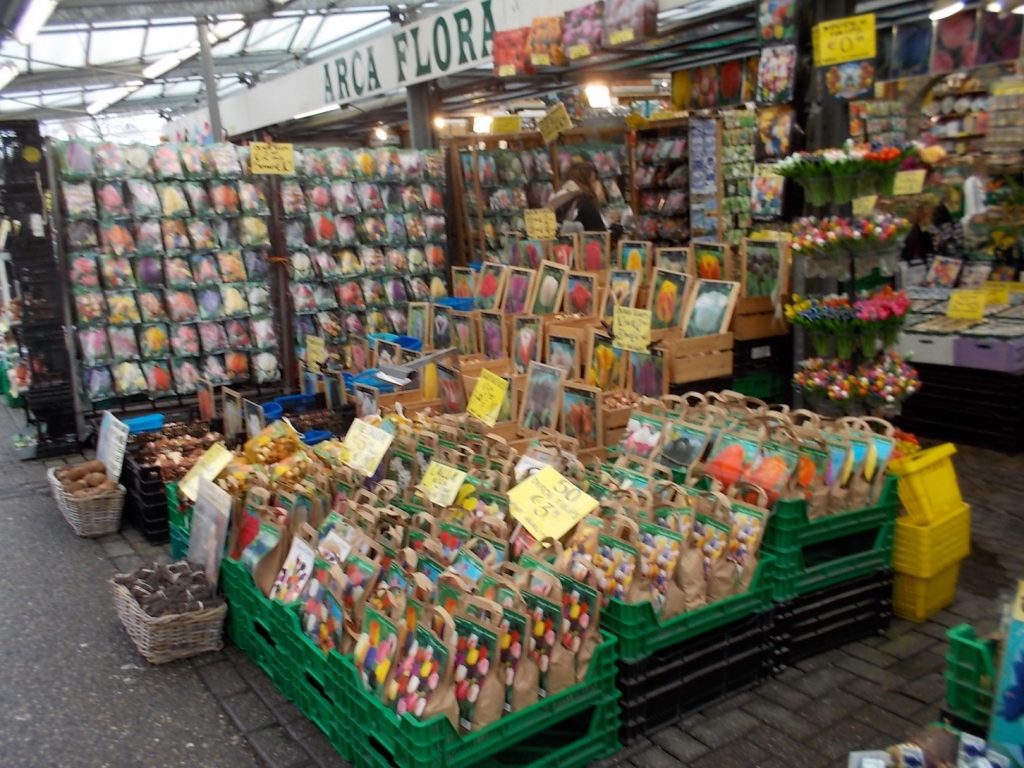 Mercado Flotante de Flores…  el famoso tulipán de los Países Bajos 