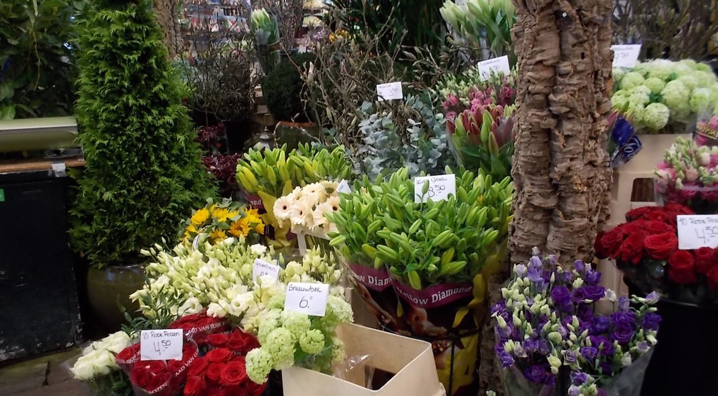 Mercado Flotante de Flores…  el famoso tulipán de los Países Bajos