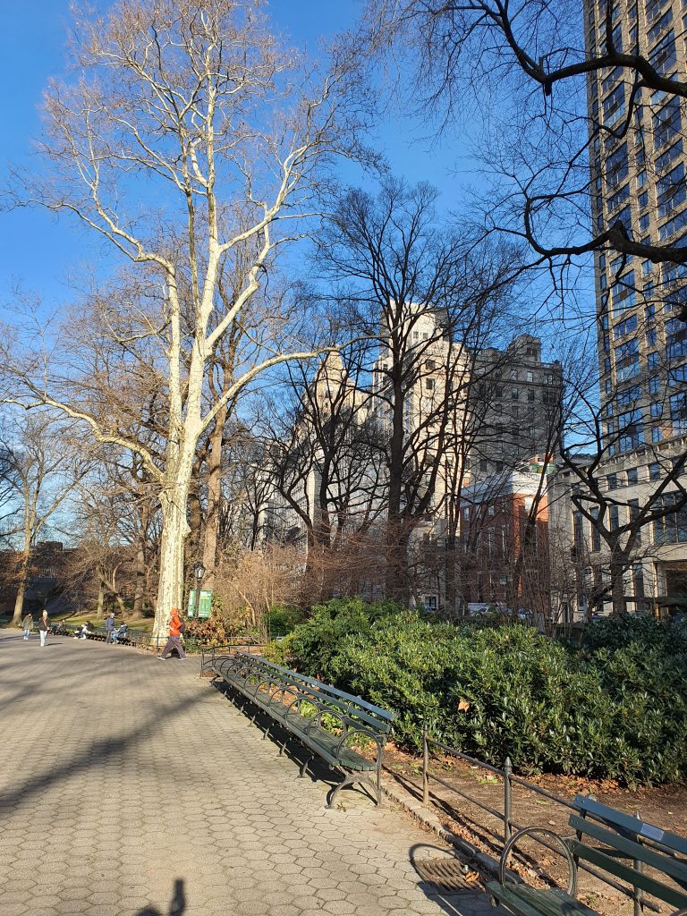 Central Park… el famoso corazón de Manhattan
