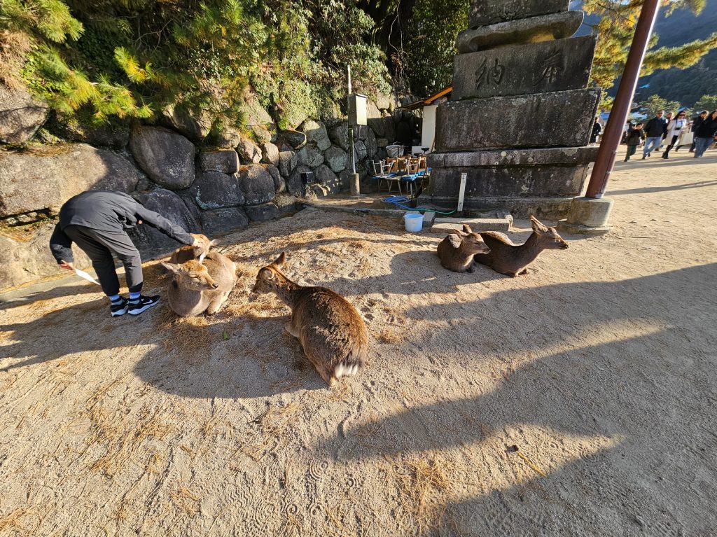 Miyajima… qué visitar en esta isla sagrada (Parte 4) 