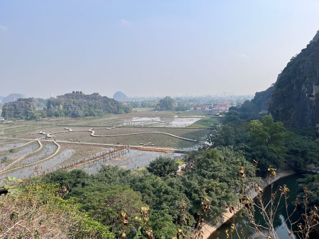 Los arrozales en Vietnam… tradición ancestral
