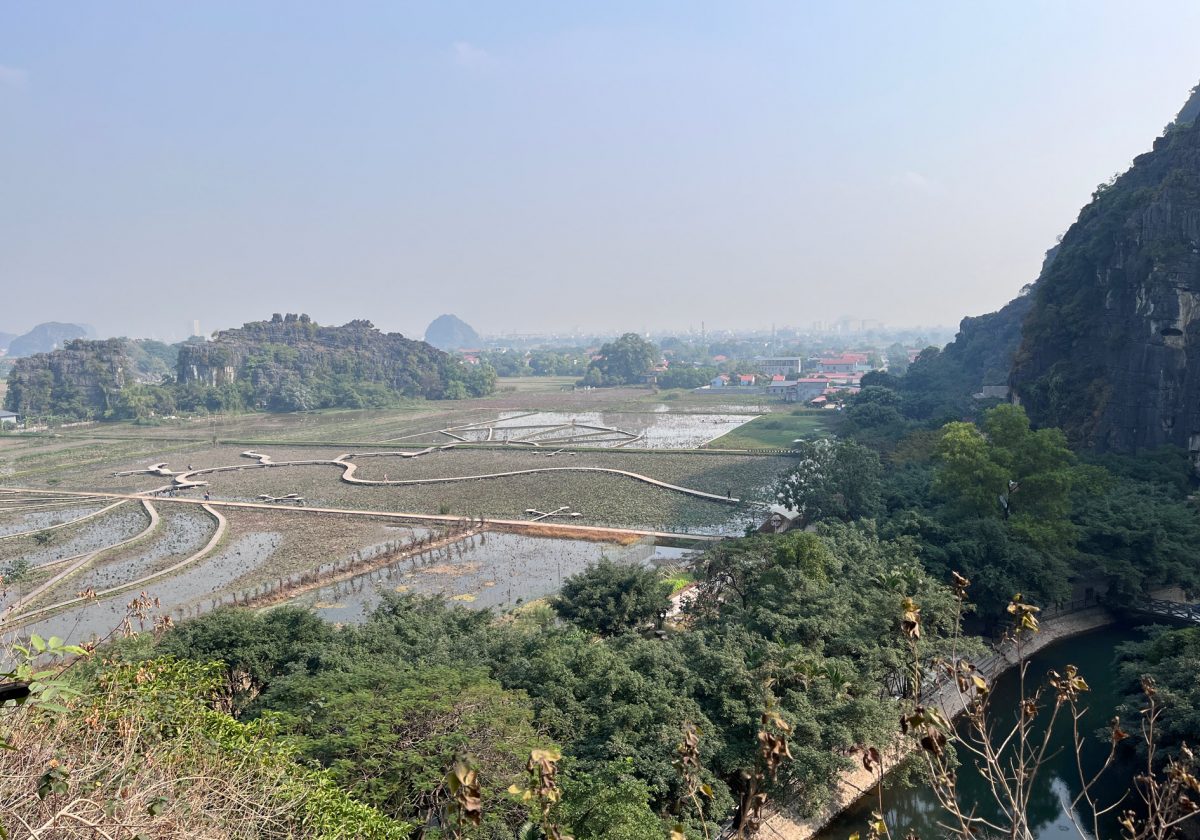 Los arrozales en Vietnam… tradición ancestral