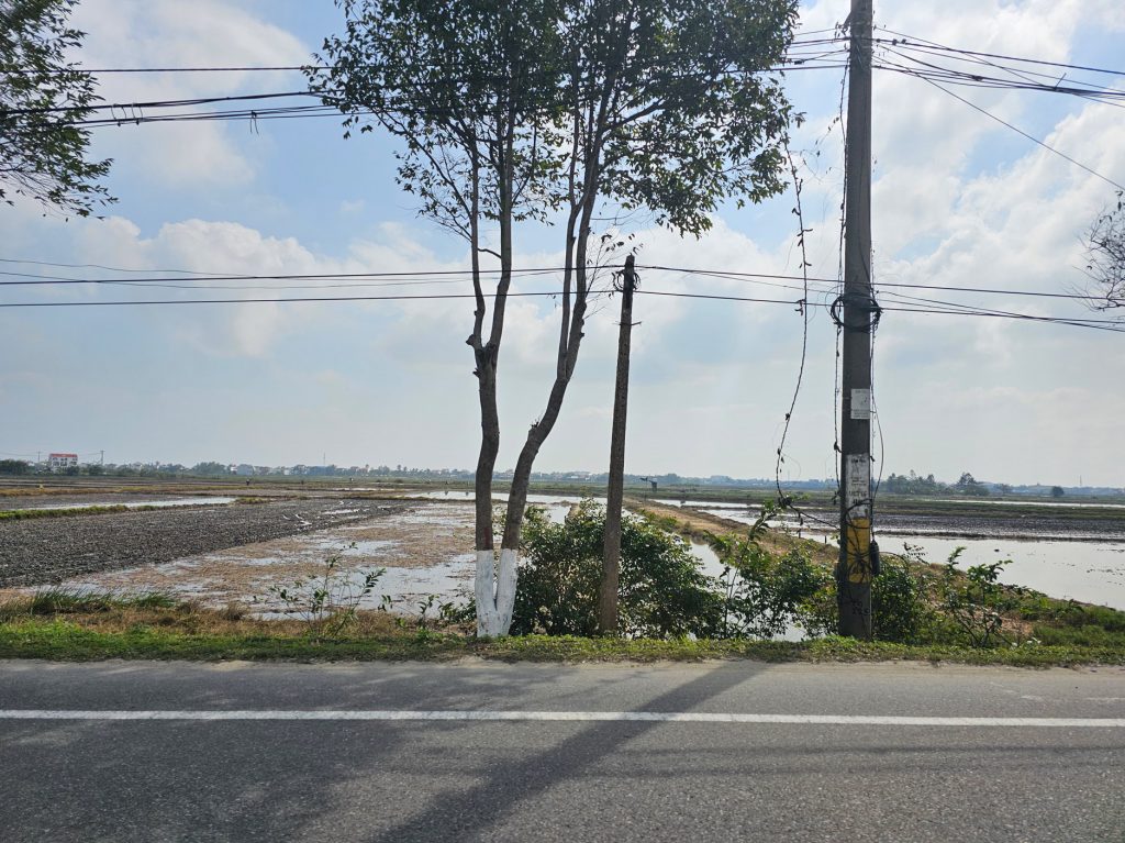 Los arrozales en Vietnam… tradición ancestral