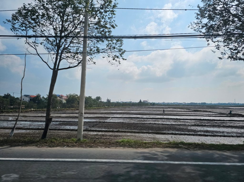 Los arrozales en Vietnam… tradición ancestral