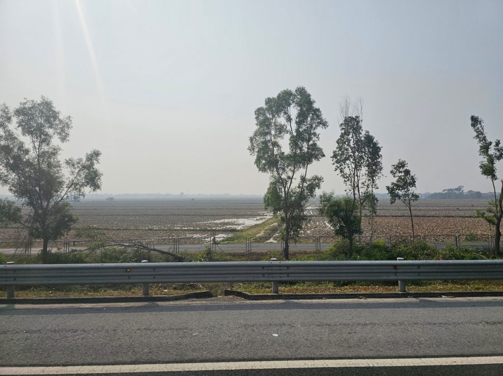 Los arrozales en Vietnam… tradición ancestral