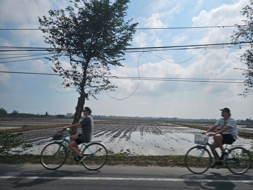 Los arrozales en Vietnam… tradición ancestral