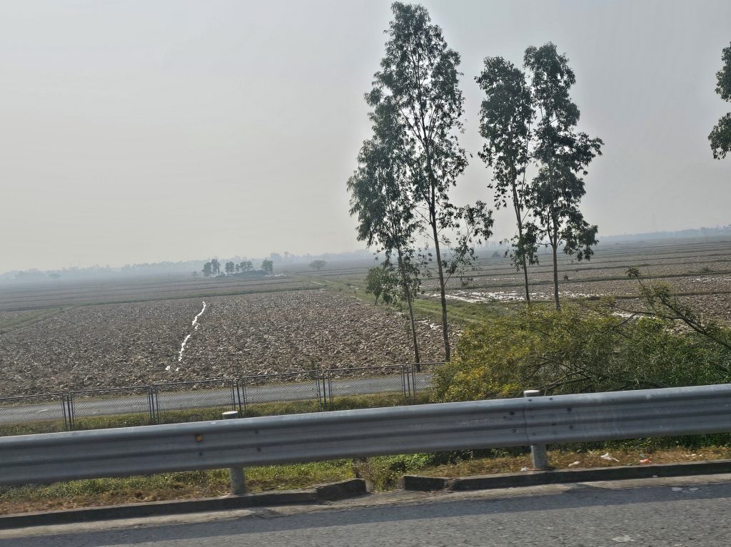 Los arrozales en Vietnam… tradición ancestral
