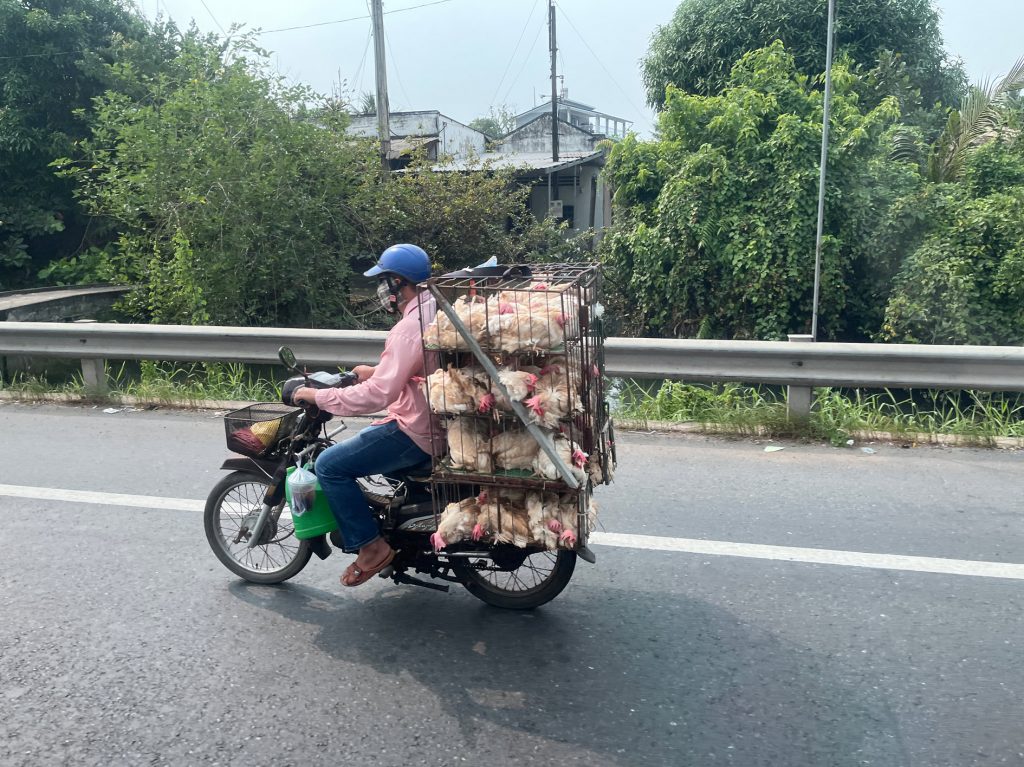 Comercio ambulante… tradición vietnamita
