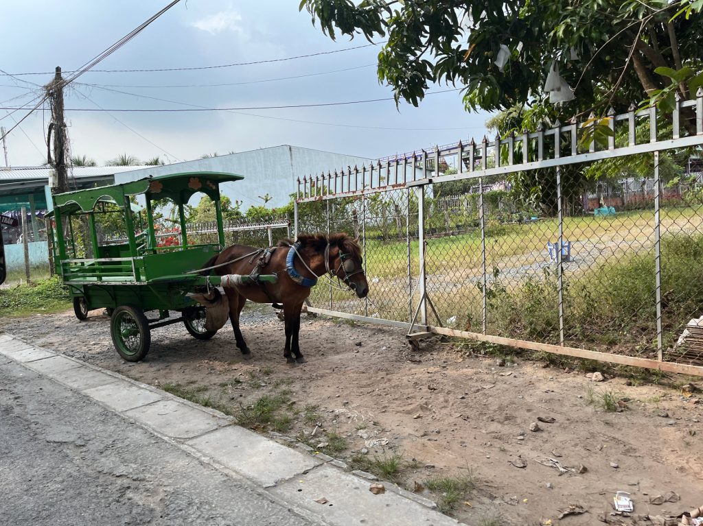 Cruce Vietnamita… todo un arte