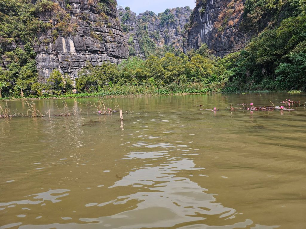 Flor de loto… flor nacional de Vietnam