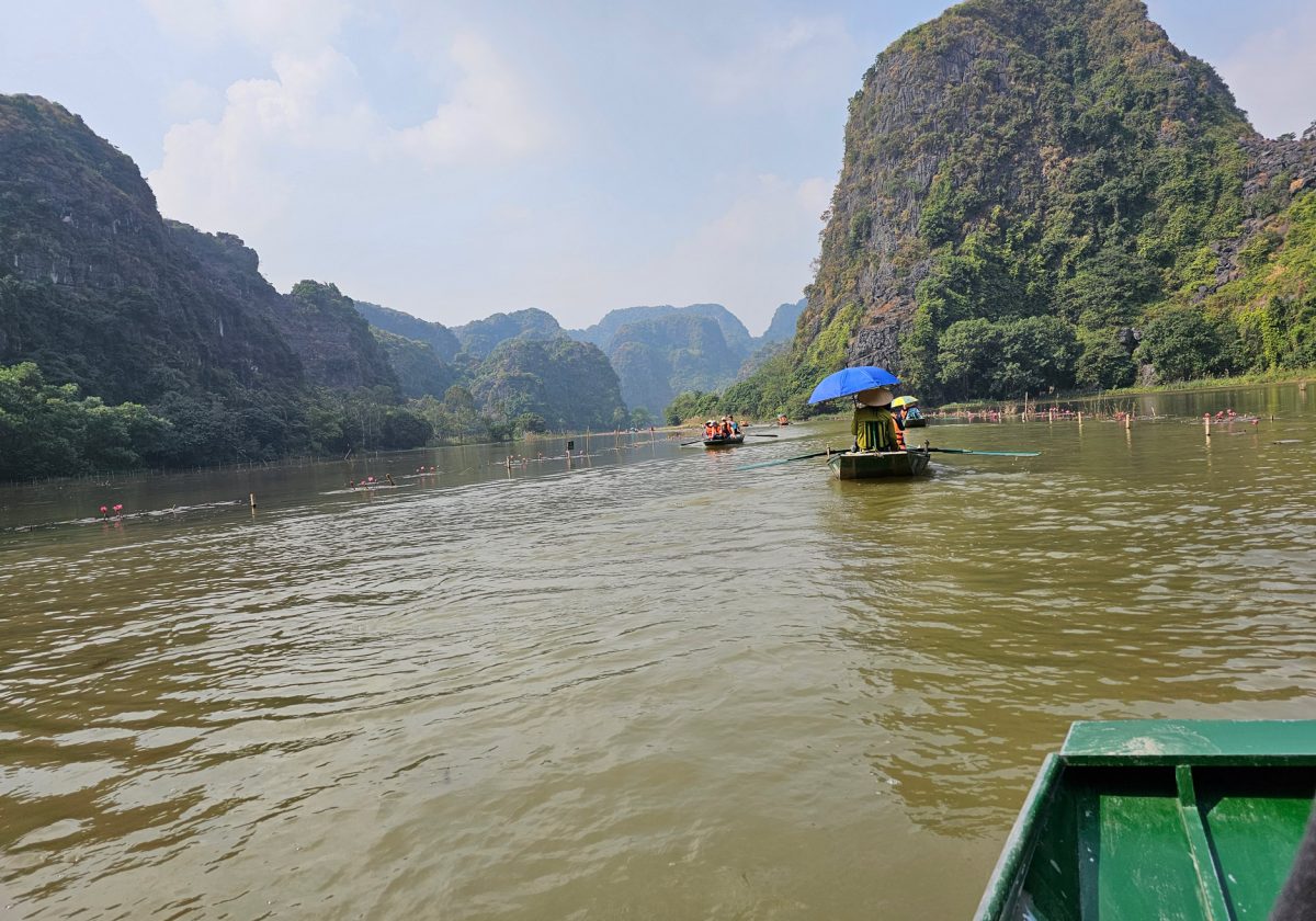 Flor de loto… flor nacional de Vietnam