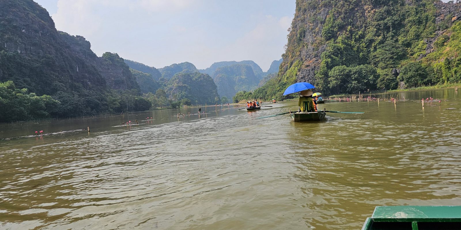 Flor de loto… flor nacional de Vietnam