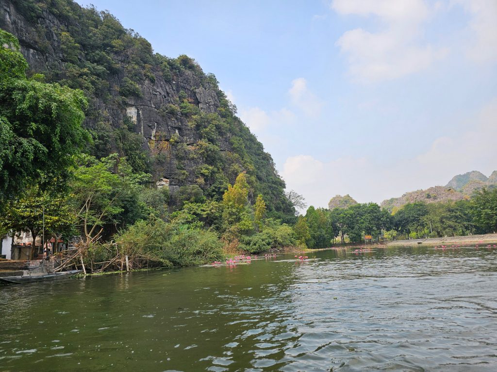 Flor de loto… flor nacional de Vietnam