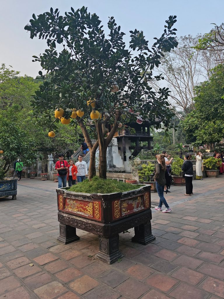 Chua Mot Cot… La Pagoda del Pilar Único