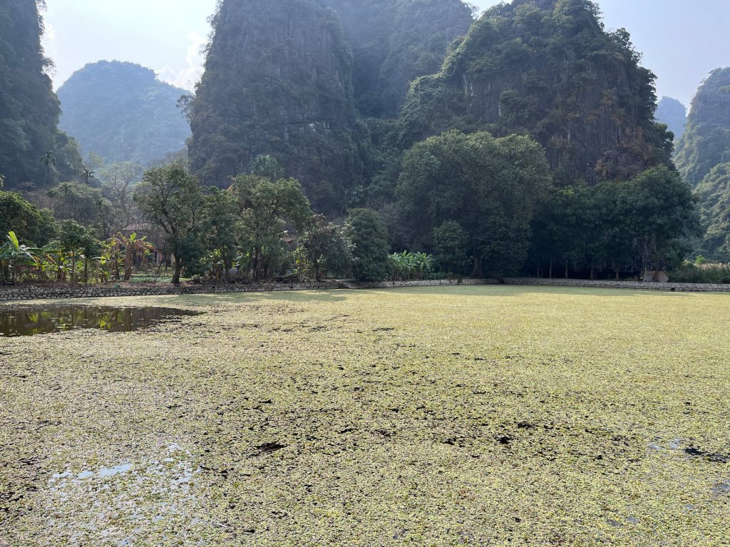 Bich Dong Pagoda… la Cueva Esmeralda