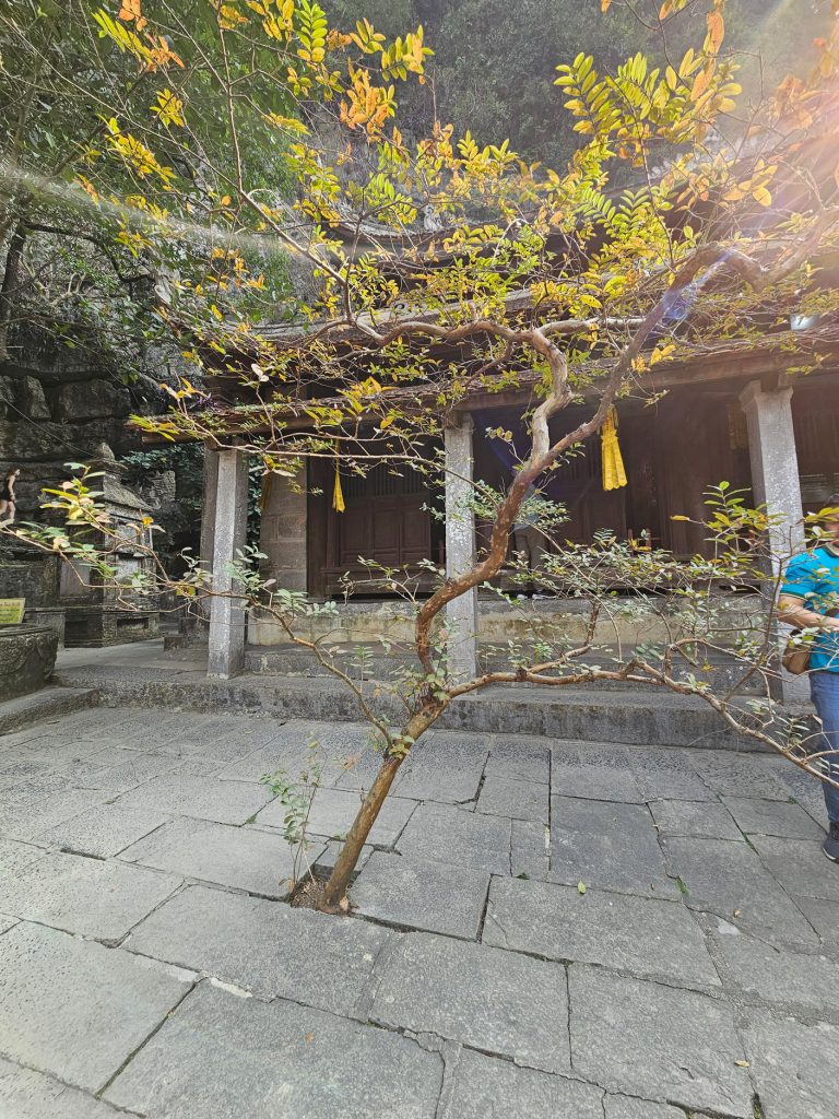 Bich Dong Pagoda… la Cueva Esmeralda