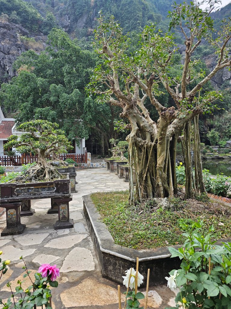 Ninh Binh… la joya escondida de Vietnam