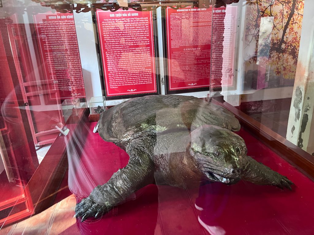 Templo Ngoc Son, el Lago Hoan Kiem y de paso el Templo de la Tortuga… paseo imperdible