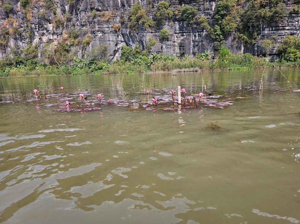 Tam Coc… las tres cuevas