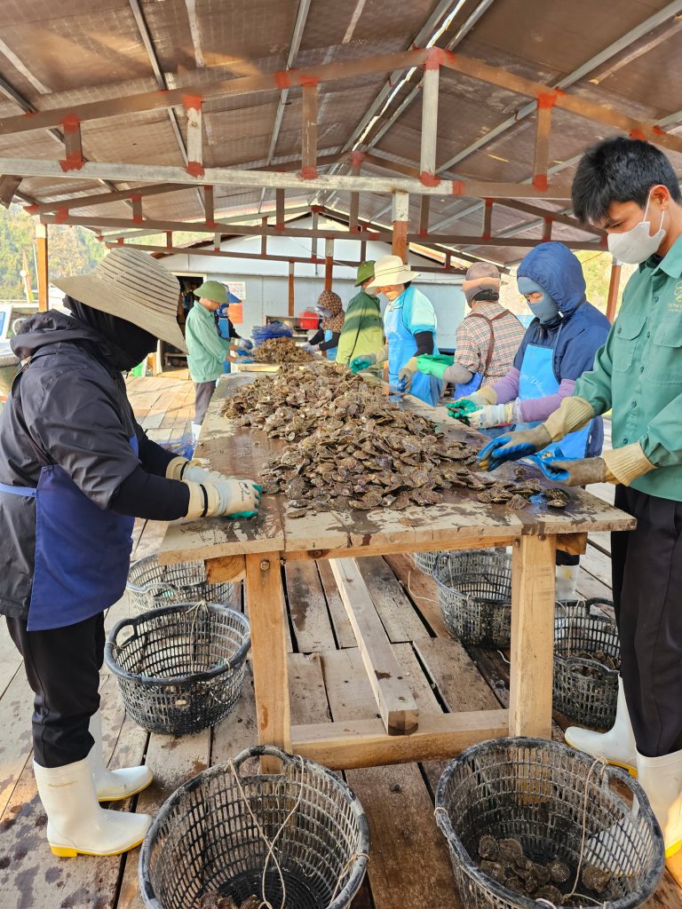 Crucero en la Bahía de Ha Long… nuestra experiencia