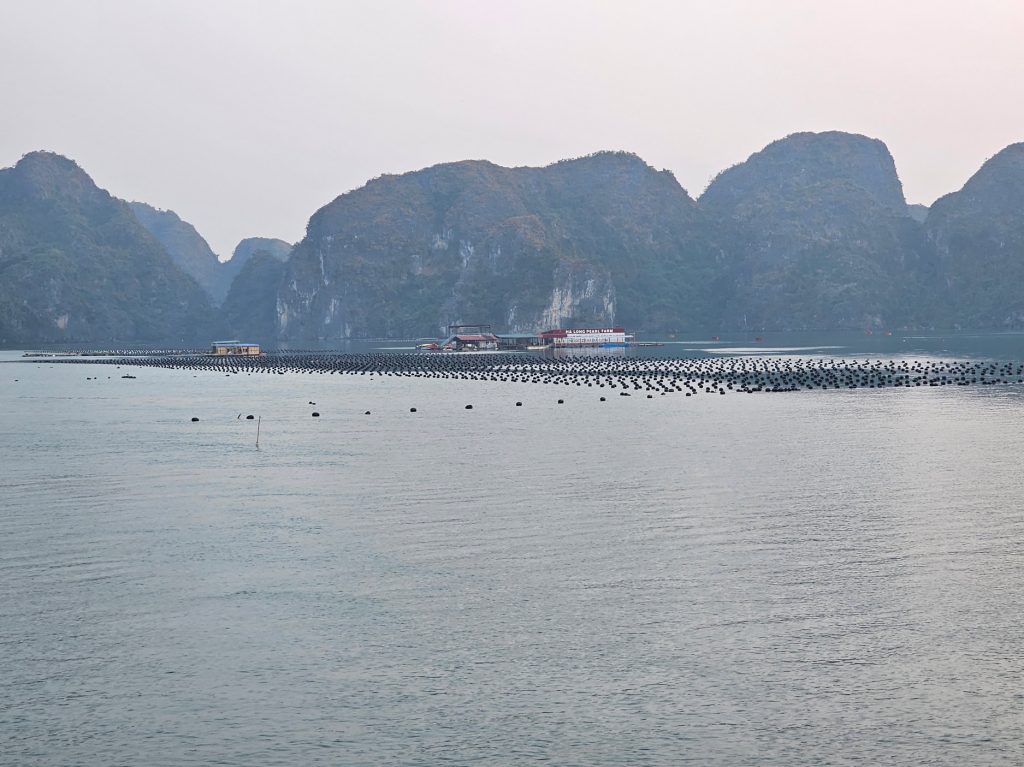 Cultivo de Perlas… granja flotante en Halong