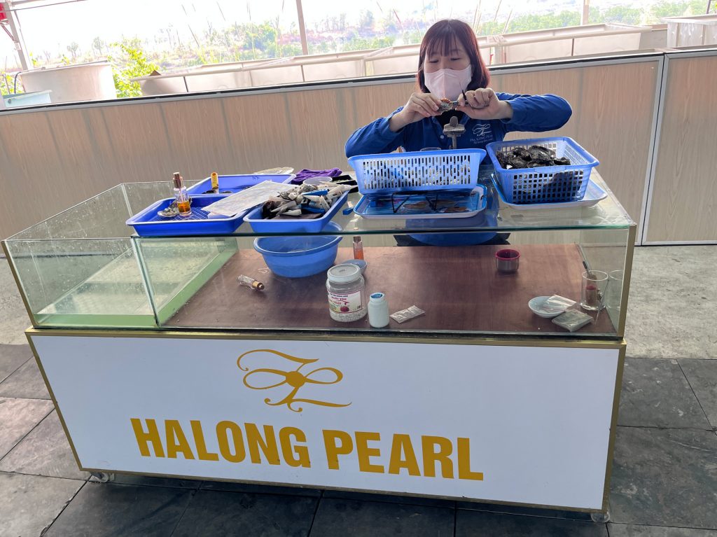 Cultivo de Perlas… granja flotante en Halong