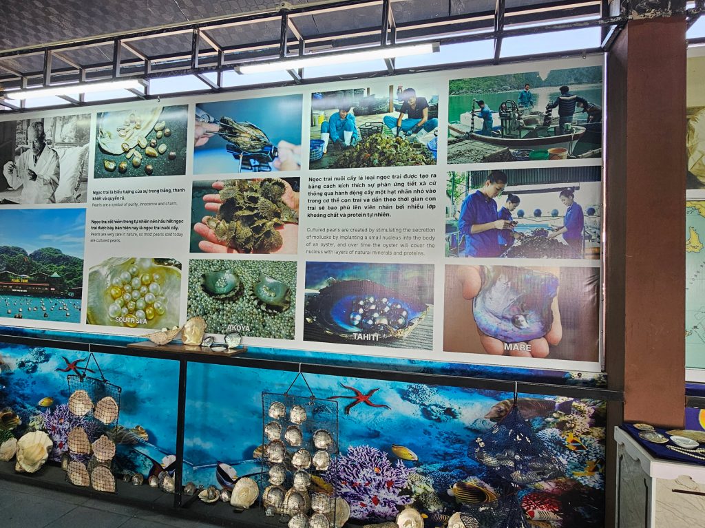 Cultivo de Perlas… granja flotante en Halong