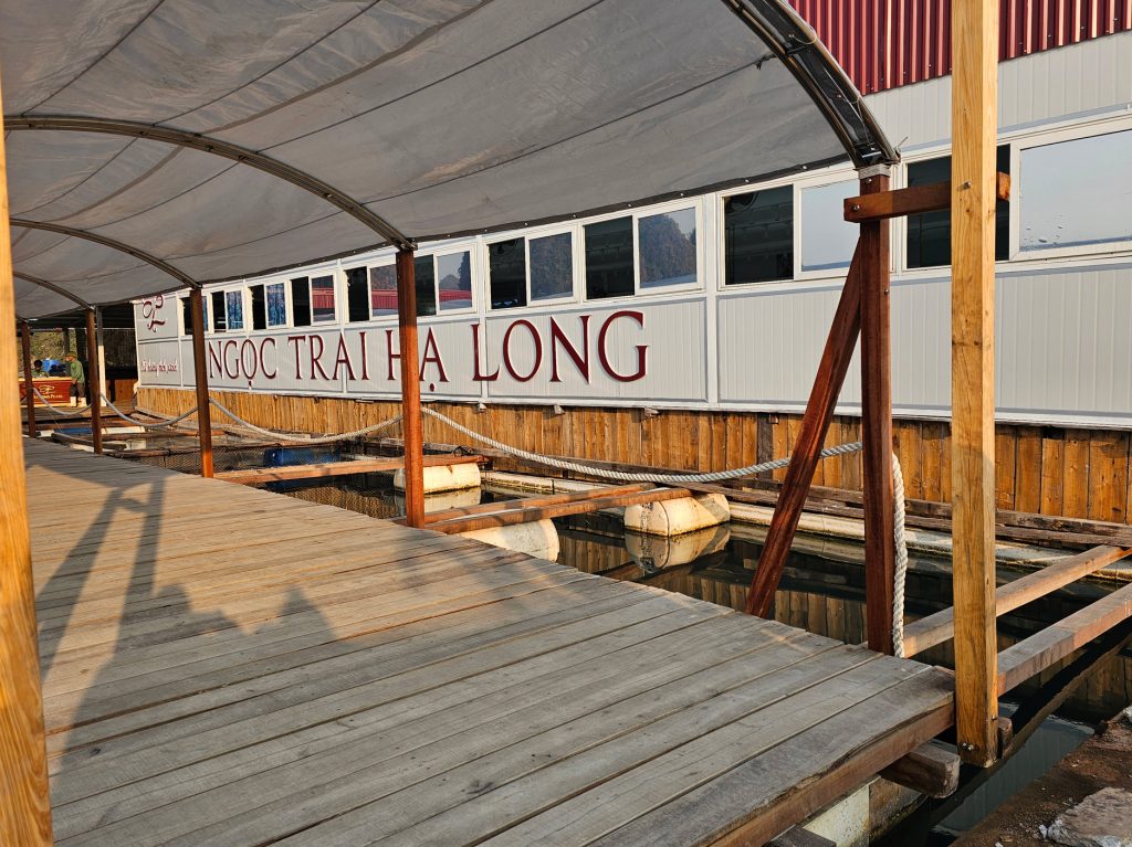 Cultivo de Perlas… granja flotante en Halong