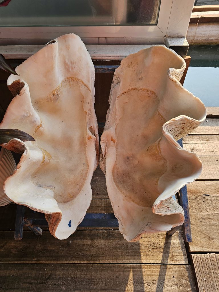 Cultivo de Perlas… granja flotante en Halong