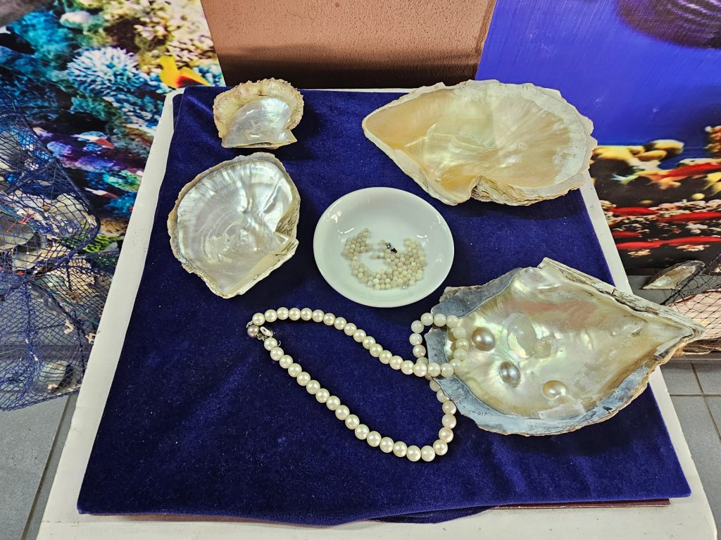 Cultivo de Perlas… granja flotante en Halong