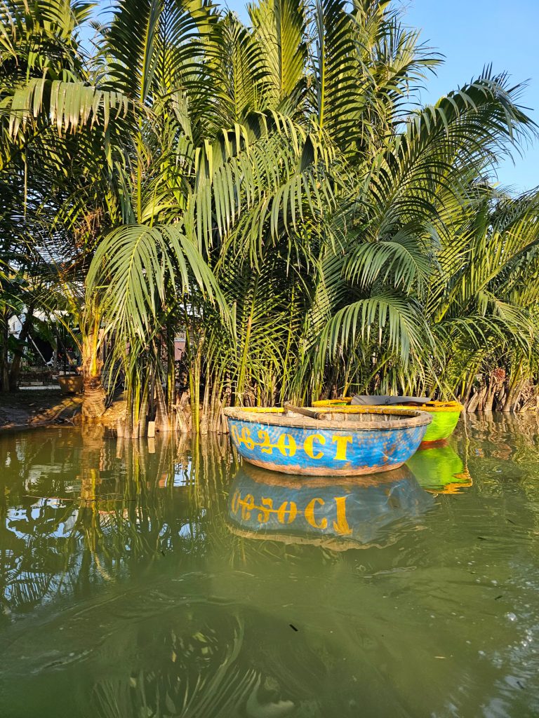 Barcas redondas… paseo por los cocoteros