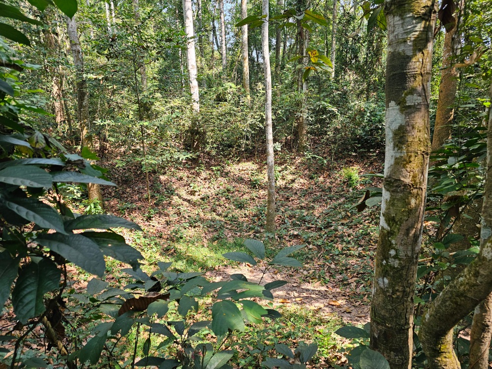 Túneles de Cu Chi… sin palabras por tanto dolor
