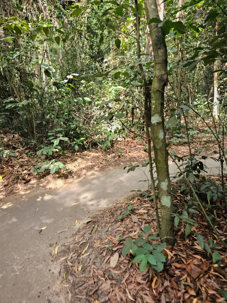 Túneles de Cu Chi… sin palabras por tanto dolor