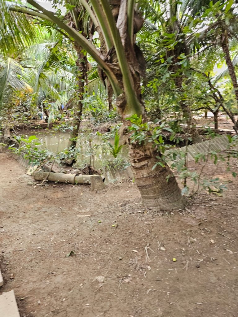 El Delta del Mekong… el arrozal de Vietnam