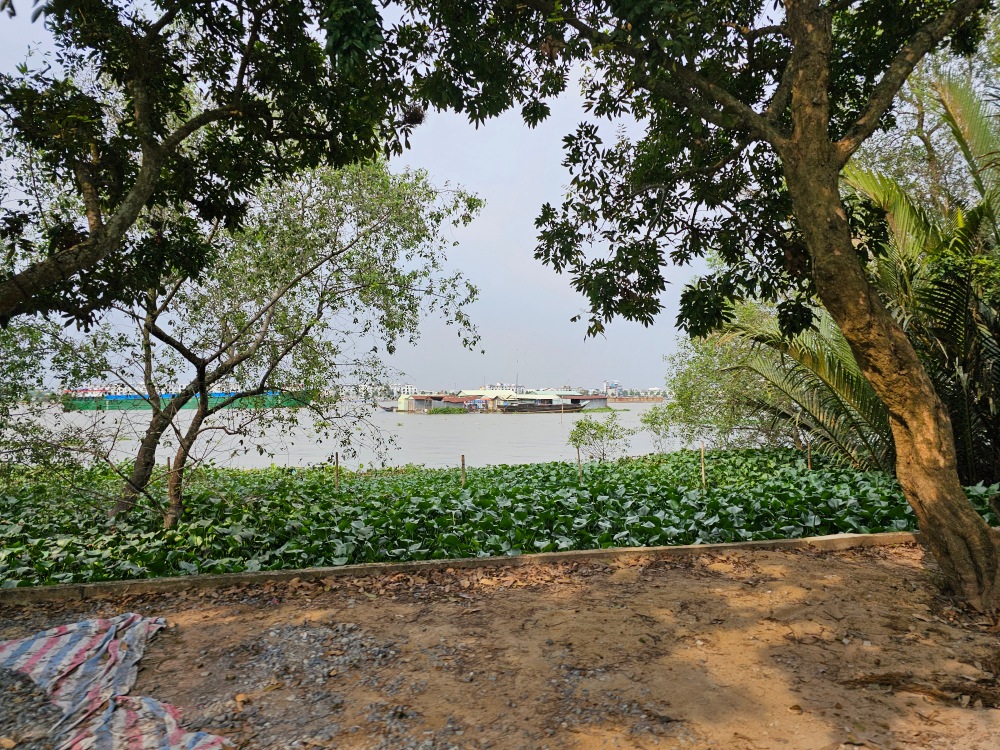 El Delta del Mekong… el arrozal de Vietnam