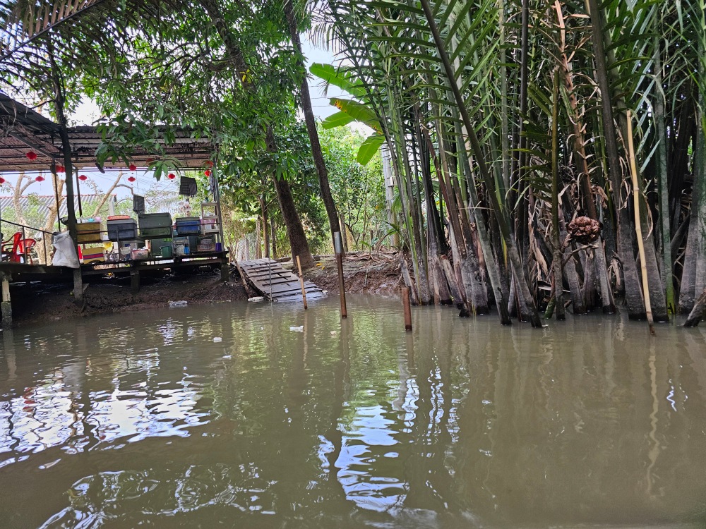 El Delta del Mekong… el arrozal de Vietnam