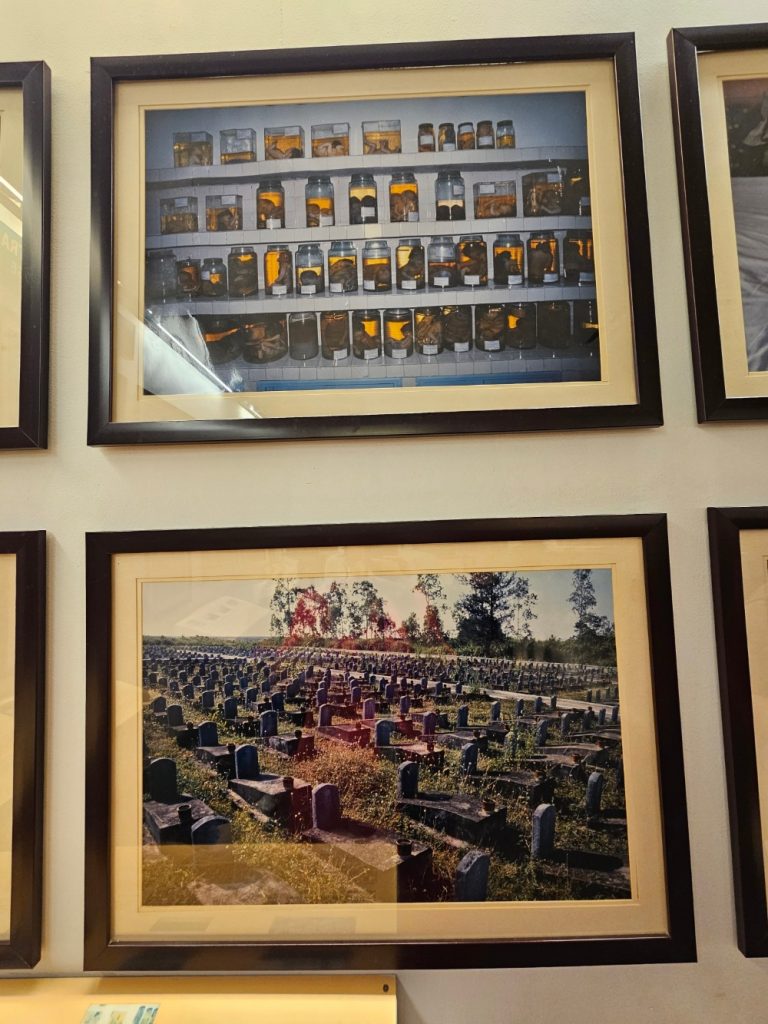 El Museo de los Vestigios de la Guerra… restos de una terrorífica guerra