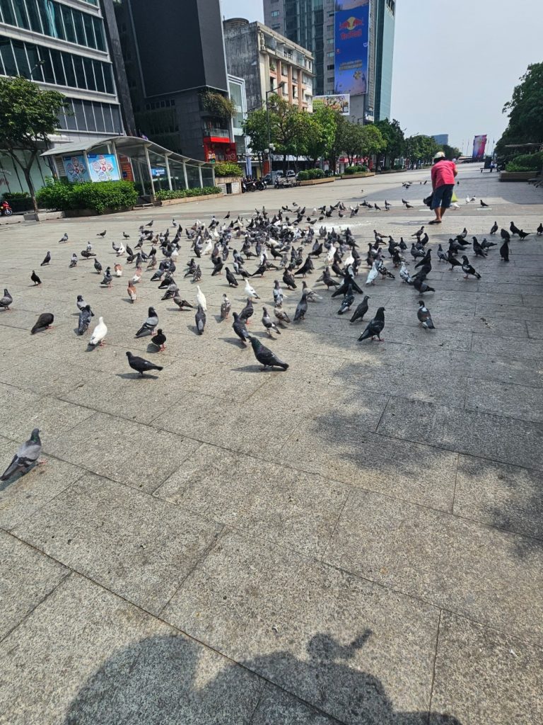 Calle Peatonal Nguyen Hue y el Ayuntamiento de Ho Chi Minh… la primera parada obligatoria
